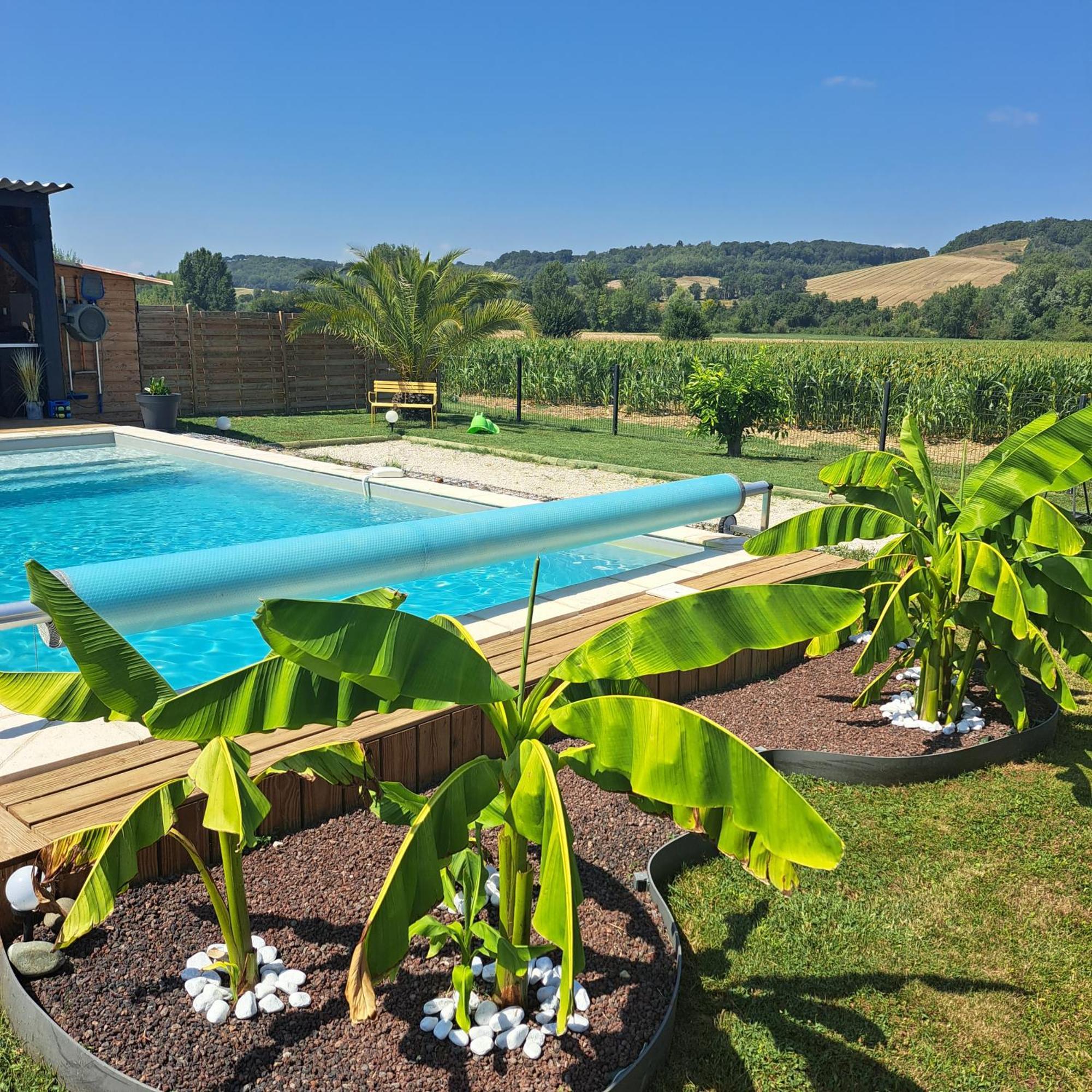 Le Domaine Vesque Villa Saint-Pierre-de-Clairac Eksteriør billede
