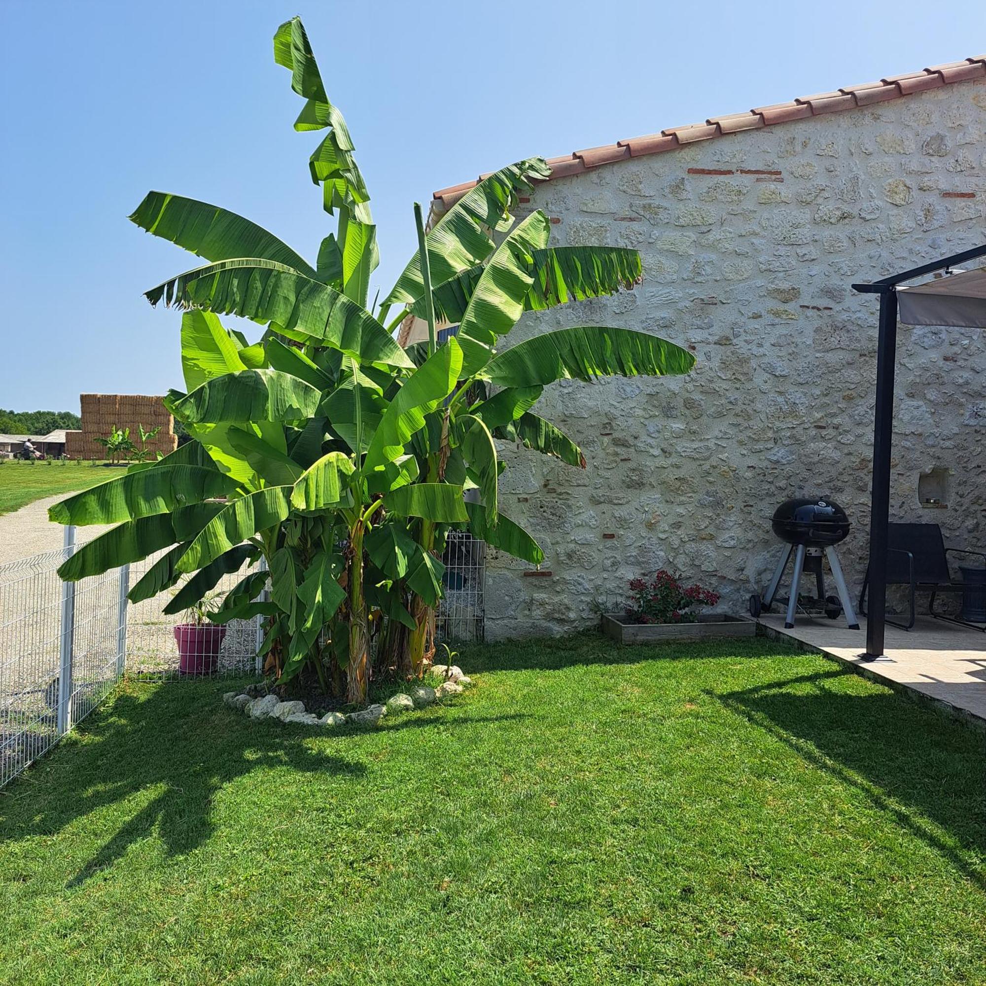 Le Domaine Vesque Villa Saint-Pierre-de-Clairac Eksteriør billede