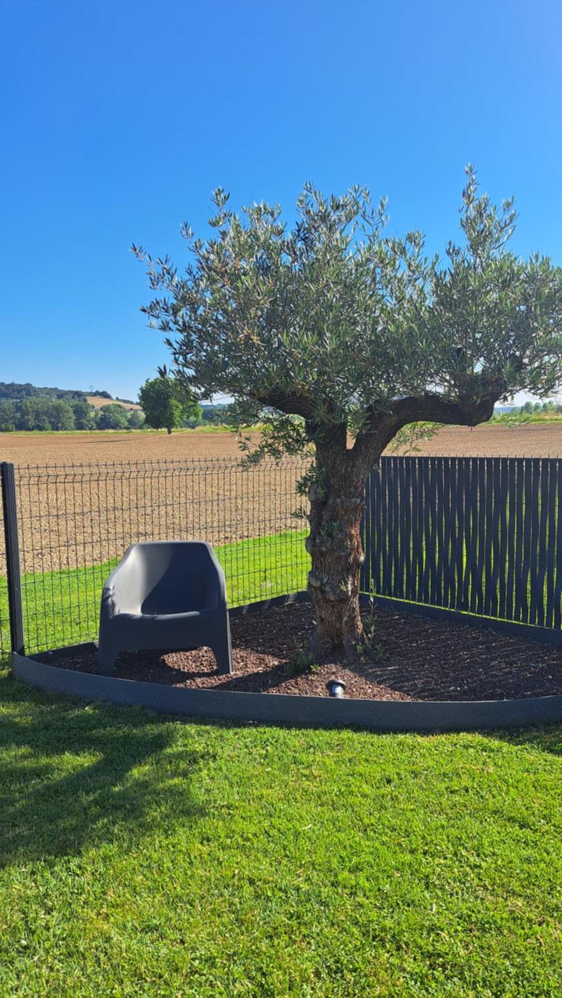 Le Domaine Vesque Villa Saint-Pierre-de-Clairac Eksteriør billede